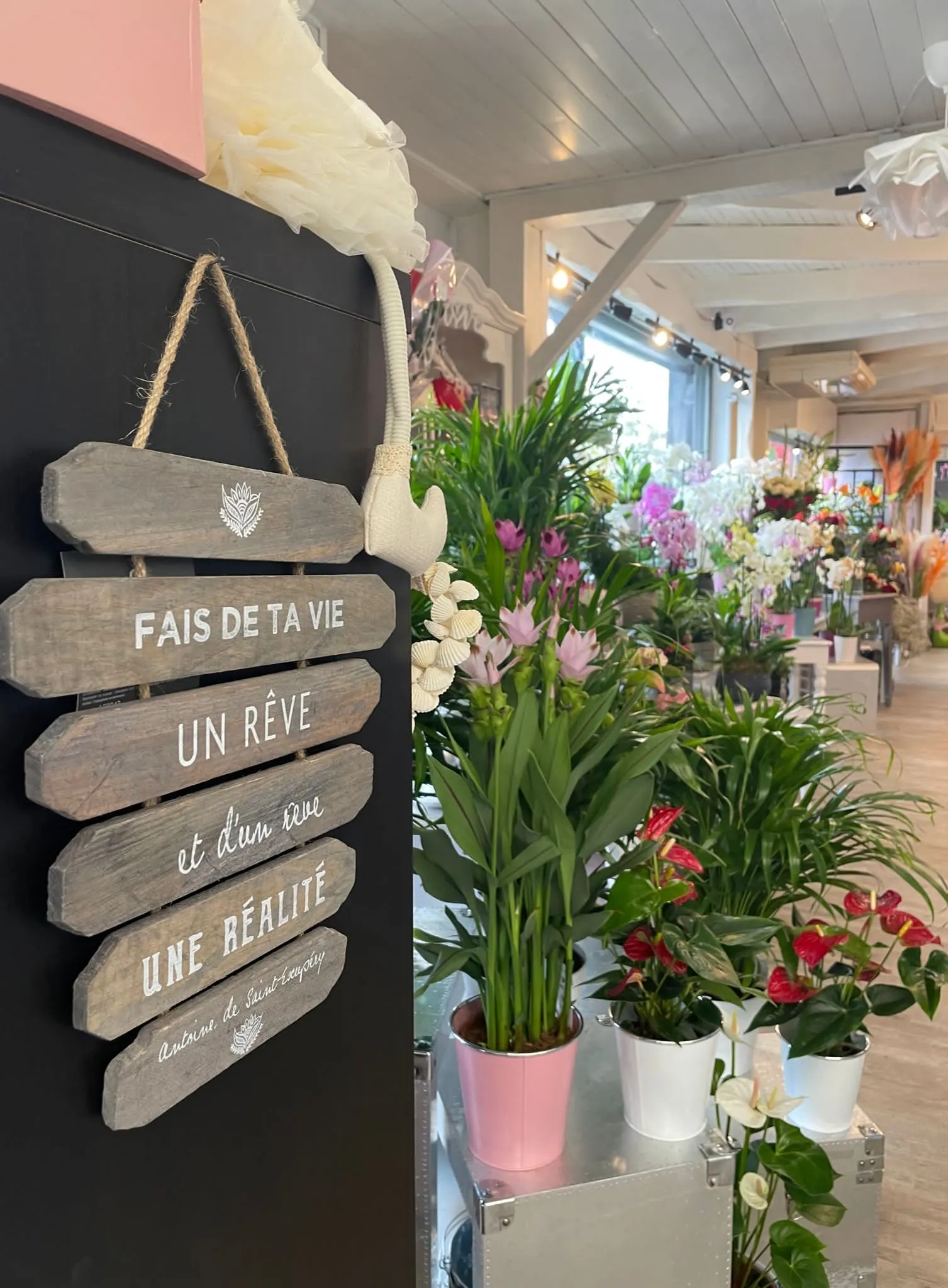 Orchidées, anthuriums et pancarte « Fais de ta vie un rêve » dans la boutique Pure Émotion